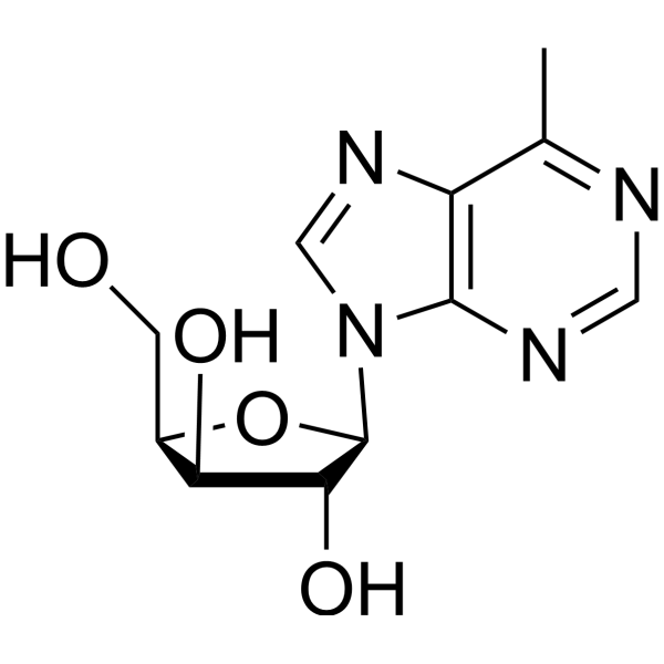 6-Methyl-9-(β-D-xylofuranosyl)purine 16006-65-8